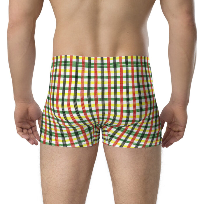 Boxers "Rétro Treilli" – Image 2