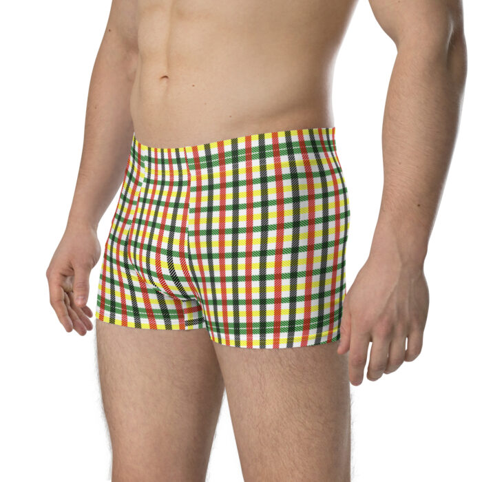 Boxers "Rétro Treilli"